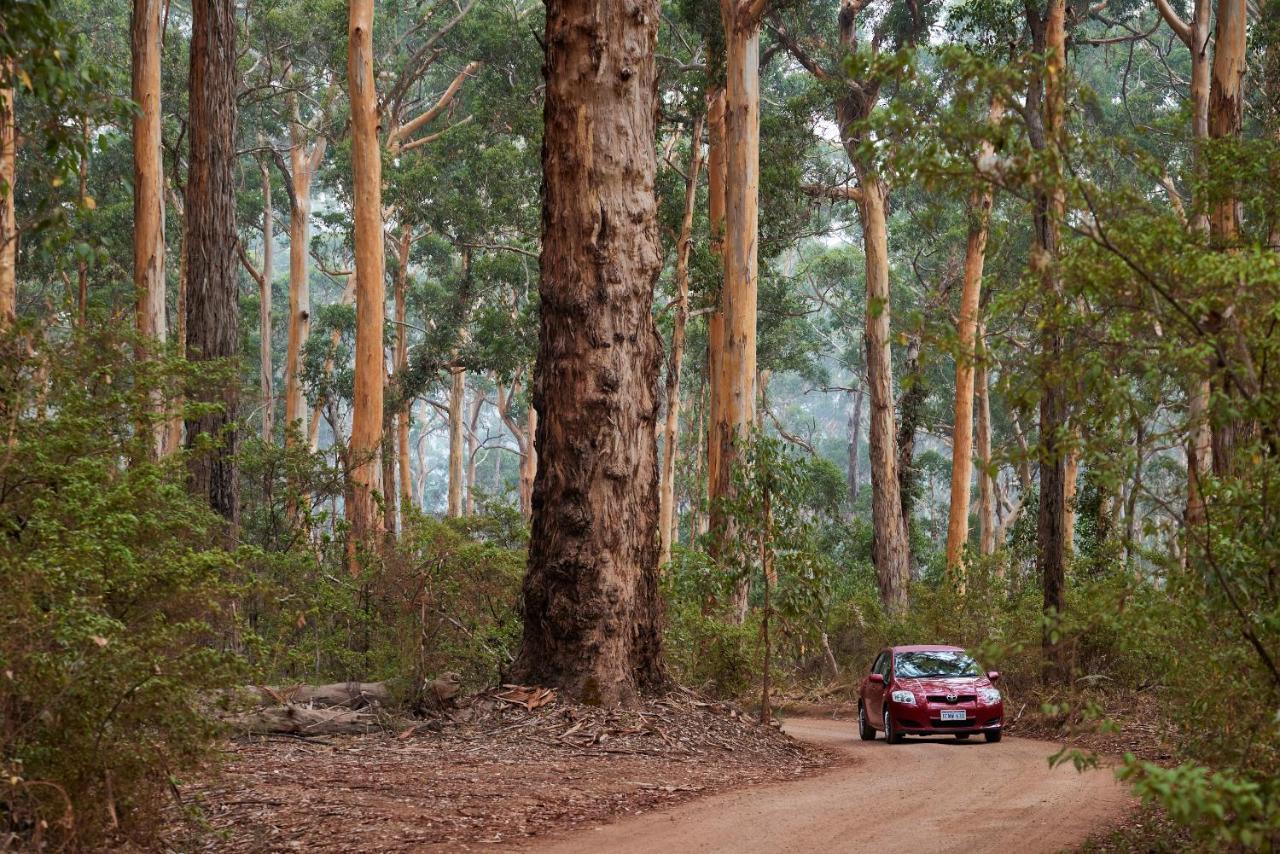 RAC Margaret River Nature Park Eksteriør bilde