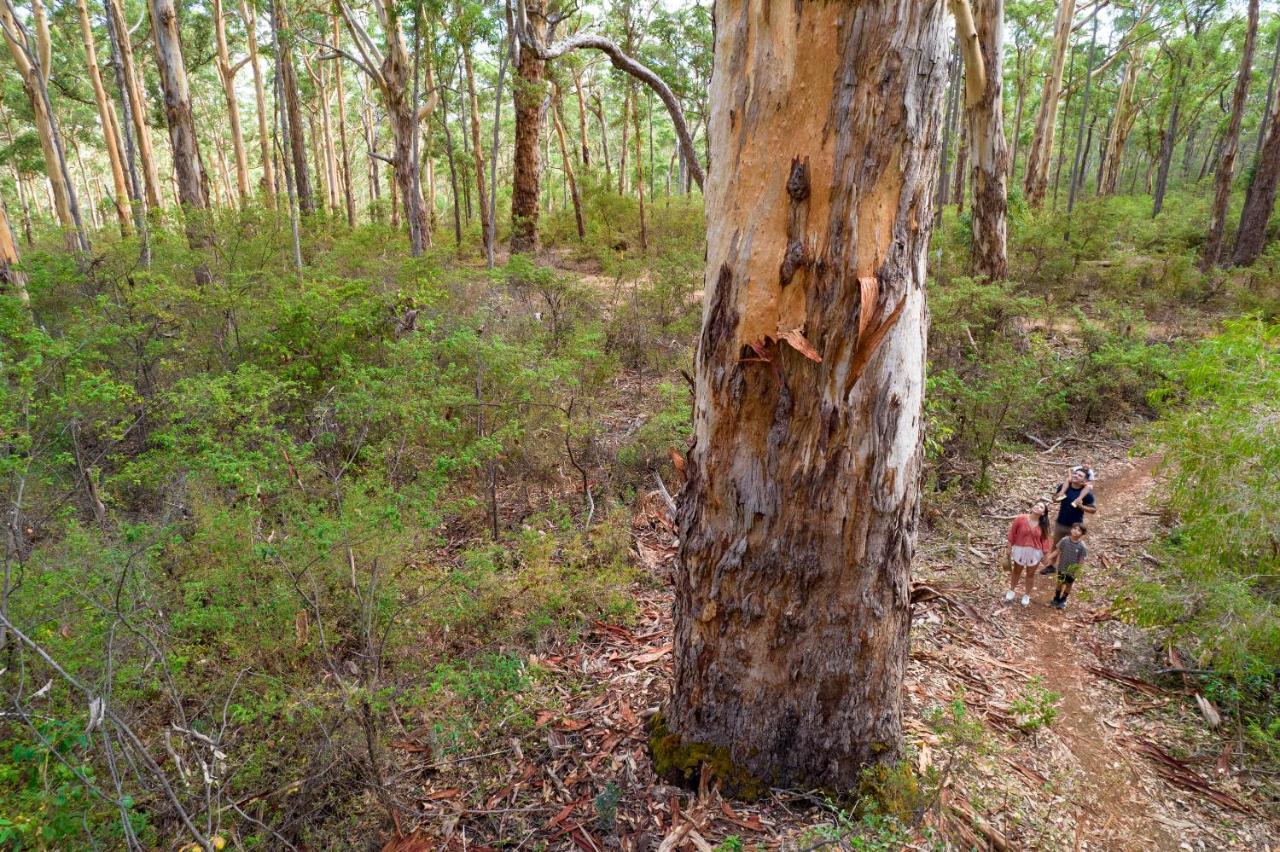 RAC Margaret River Nature Park Eksteriør bilde